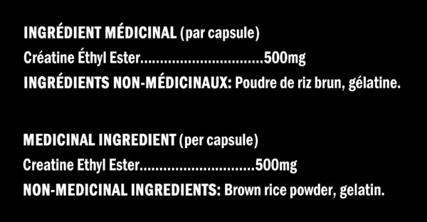 XPN - Absorb-X - Ingredients